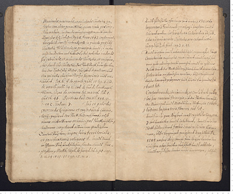 Florinus Gruben: Über die Immunität und Gerichtsbarkeit des Kapitels, 1661